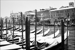 Venedig-im-Schnee  ·  Gunter Scholtz